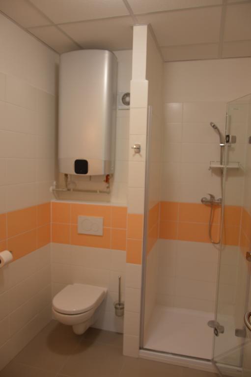 Penzion Havelka Apartmany Železná Ruda Dış mekan fotoğraf